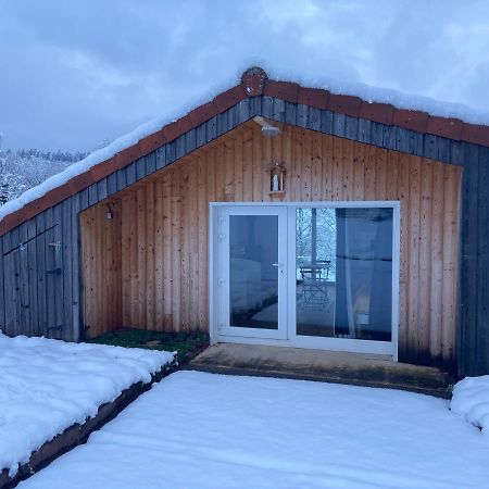 Le Chalet Dans La Nature Saulcy-sur-Meurthe Kültér fotó
