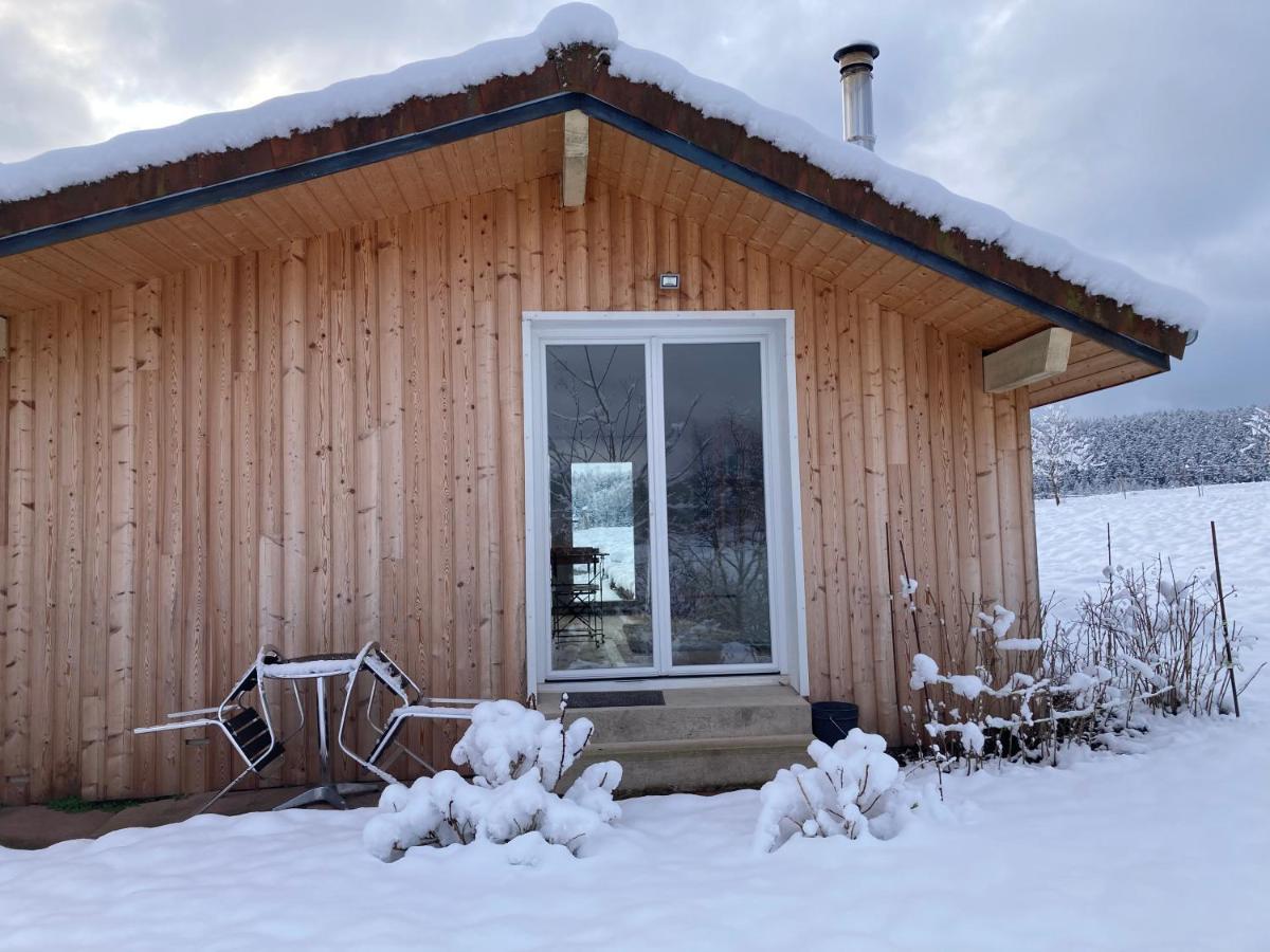 Le Chalet Dans La Nature Saulcy-sur-Meurthe Kültér fotó